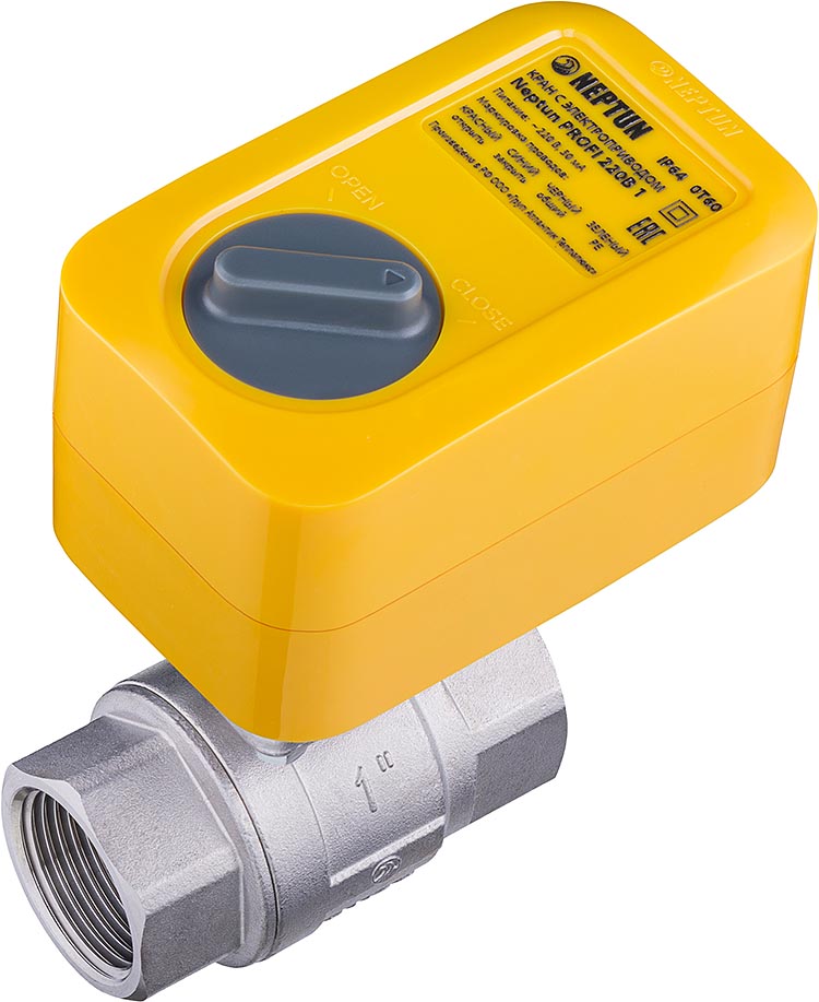 Кран с электроприводом Neptun PROFI 220В 1''